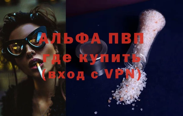 apvp Алзамай