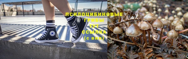 apvp Алзамай