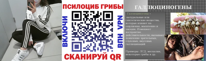 Галлюциногенные грибы GOLDEN TEACHER  как найти   Карачаевск 
