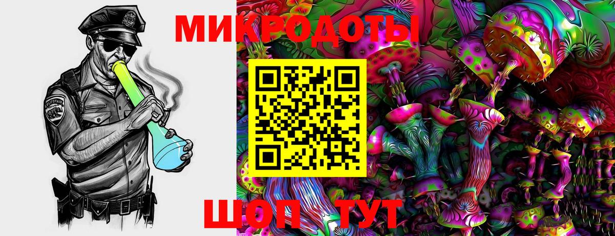 Галлюциногенные грибы Magic Shrooms Карачаевск
