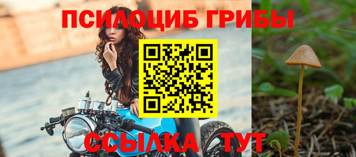 купить закладку  Вход с VPN  Карачаевск  Псилоцибиновые грибы ЛСД  Псилоцибиновые грибы Magic Shrooms 