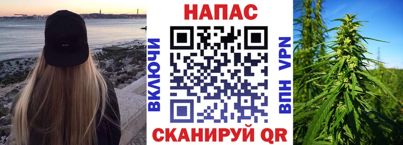 Бошки Шишки VHQ Карачаевск